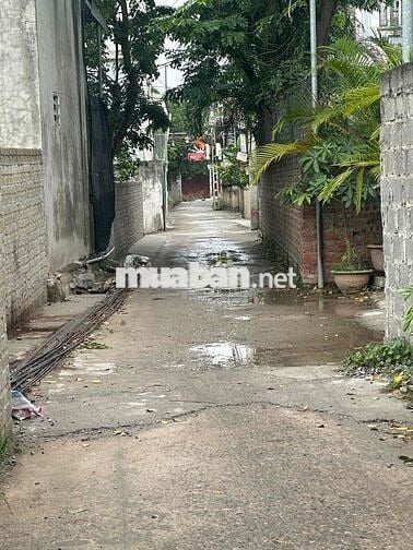 bán gấp mảnh đất gần đường vành đai 4 xâm động vân Tảo Thường tín H N