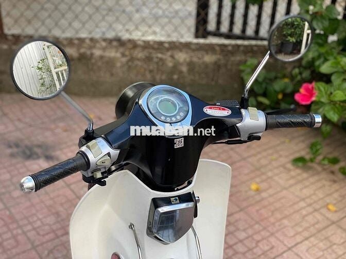 Cub 50cc bản cao cấp, giá rẻ cho học sinh.