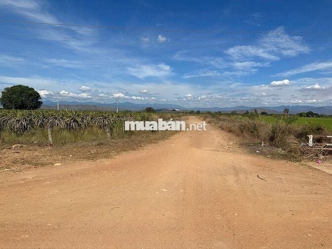 18ha mặt tiền kênh, đường xe container, có hệ thống điện 3 pha