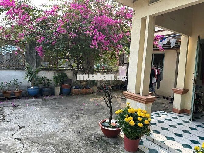 Ngộp nhà cấp 4 + vườn 159m2 SHR Đường Nguyễn Thị Lắng Củ Chi 1 tỷ 1