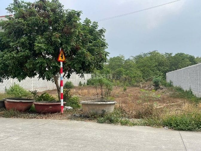 Bán đất gấp mặt tiền đường Ba Sa, full thổ cư 100m2 giá 1ty200 sổ sẵn