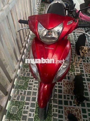 xe vison giá rẽ