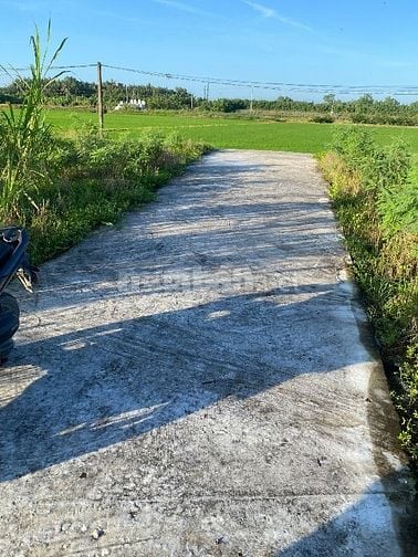 Can ban nen ngan 5 dai 20 đat sạch 