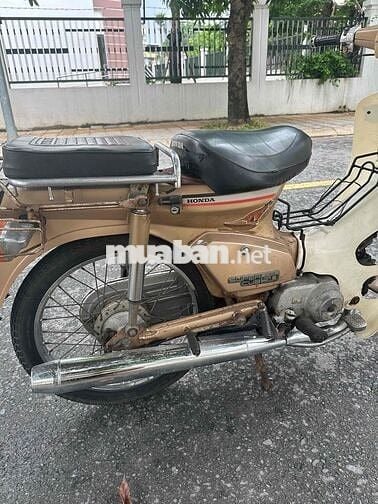 Honda Cub 82/84 Vàng đồng Đã sử dụng