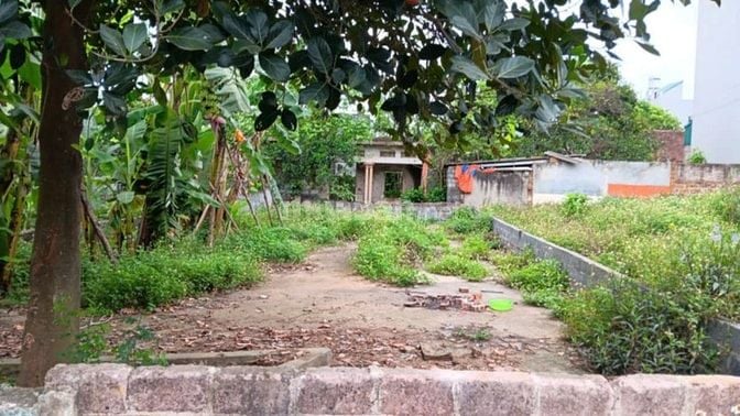 Bán đất Quốc Oai 85.6m² (60m² thổ cư) – Đường ô tô – Xã Đông Yên, Hà N