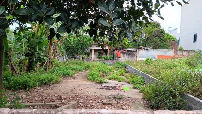 Bán đất Quốc Oai 85.6m² (60m² thổ cư) – Đường ô tô – Xã Đông Yên, Hà N