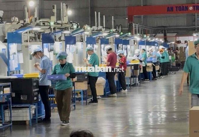 gọt nhựa , làm khoẻ , uy tín tuyệt đối