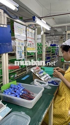 TUYỂN LĐPT GIA CÔNG DÂY ĐIỆN (KCN TÂN BÌNH - HCM)