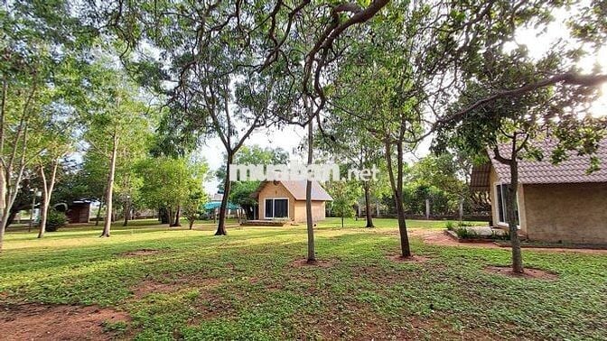 CHÍNH CHỦ CHUYỂN NHƯỢNG KHU ĐẤT ĐÃ ĐẦU TƯ HẠ TẦNG - 6.222,4M² - MŨI NÉ