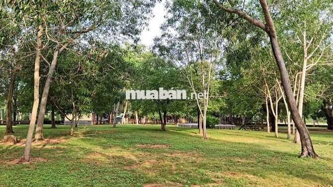 CHÍNH CHỦ CHUYỂN NHƯỢNG KHU ĐẤT ĐÃ ĐẦU TƯ HẠ TẦNG - 6.222,4M² - MŨI NÉ