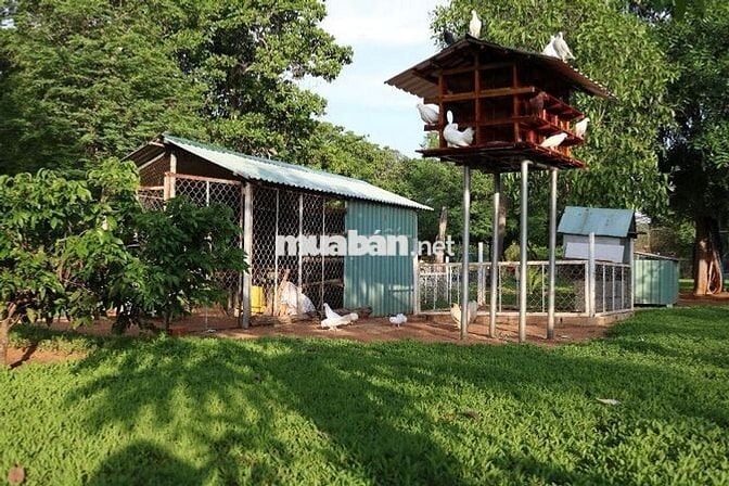 CHÍNH CHỦ CHUYỂN NHƯỢNG KHU ĐẤT ĐÃ ĐẦU TƯ HẠ TẦNG - 6.222,4M² - MŨI NÉ