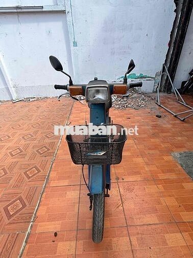Honda Cup Xanh