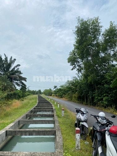 Chính chủ cần bán nhanh lô đất full thổ cư 113m2 sổ sẵn ngay Thái Mỹ