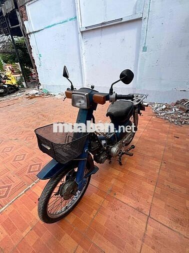 Honda Cup Xanh