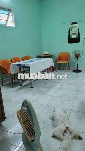 Bán đất kèm nhà khu vực Ngũ Hành Sơn