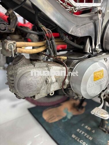 Honda Cub 81 86 50cc Xám Chuột Chính Chủ BSTP