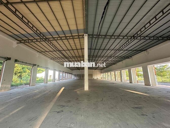 🔴 CHO THUÊ KHO XƯỞNG LONG AN HÌNH ẢNH THẬT GIÁ RẺ