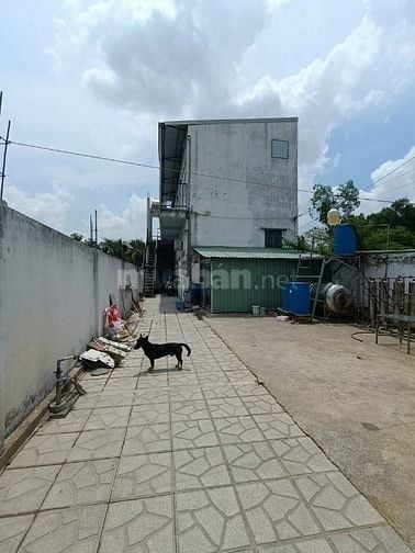 Bán gấp 224m2 đất thổ cư 100%, vị trí đẹp, xem đất gặp chủ làm việc