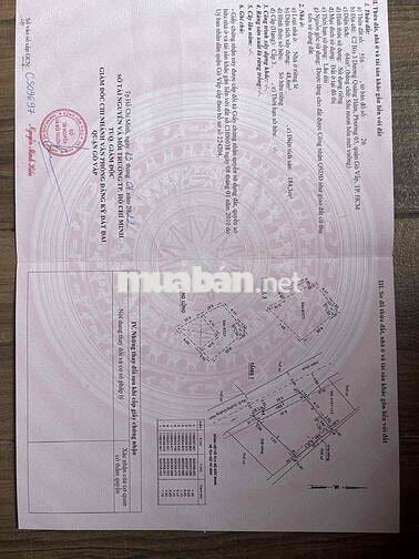 🏡 CHÍNH CHỦ CẦN BÁN NHÀ GÒ VẤP – HẺM XE TẢI 5M – VỪA Ở VỪA CÓ THU NHẬP