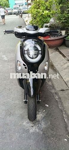 Honda Scoopy