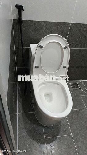Nhà Đẹp Luxury , HXH, 3 PN (có PN trệt) , gần Đầm Sen Park, Quận 11