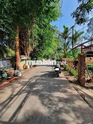 Đất mặt tiền đường cái Mỹ Hòa Hưng
