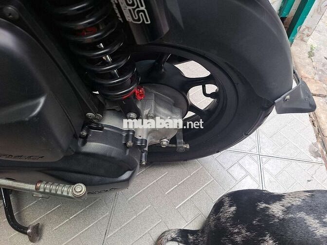 Honda zoomer X Nhập Thái. xe đẹp chính chủ