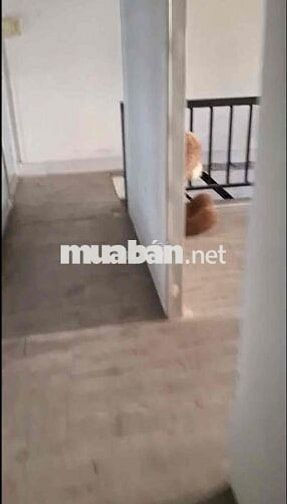 CHO THUÊ NHÀ NGUYÊN CĂN – TAM HÀ, TP. THỦ ĐỨC