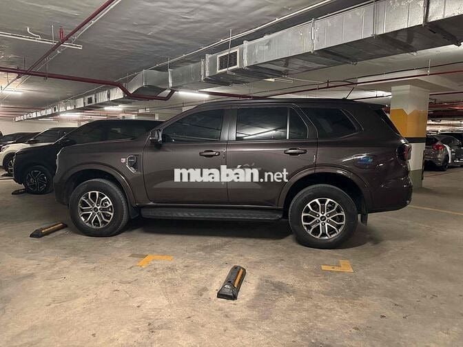 Ford Everest Ambient 2023 Nâu