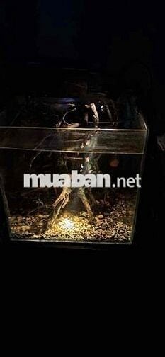 2 Nam nhân viên kho TMĐT lương từ 8tr -Bình Thạnh