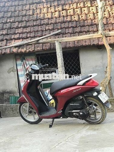 Yamaha Janus 2024 Đỏ
