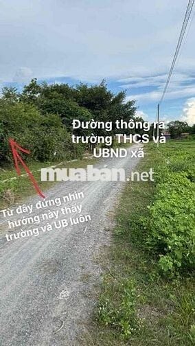CHÍNH CHỦ CẦN BÁN ĐẤT THỔ CƯ xã Hoà Khánh Nam, Long An
