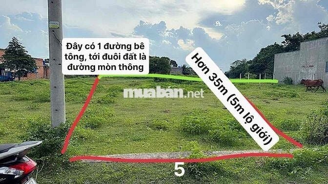 CHÍNH CHỦ CẦN BÁN ĐẤT THỔ CƯ xã Hoà Khánh Nam, Long An