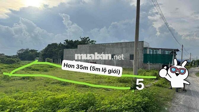 CHÍNH CHỦ CẦN BÁN ĐẤT THỔ CƯ xã Hoà Khánh Nam, Long An