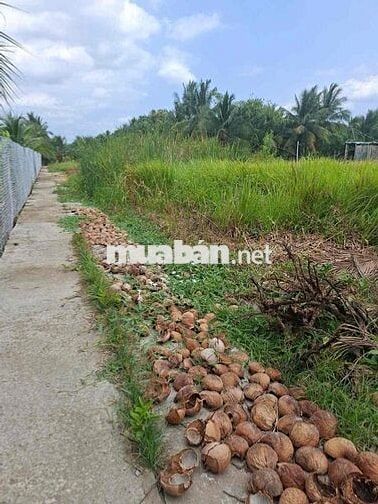 *** 275 TR/ NỀN - ĐẤT PHƯỜNG TRUNG AN( gần BV ĐK TIỀN GIANG)
