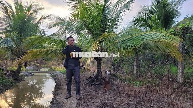 Chính chủ Bán đất, đường N3 KP Mỹ Hưng, phường Mỹ Phong, Đồng Tháp mới