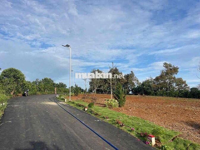 bán 3 nền đường nhựa kênh Trục, xã Định Mỹ , An Giang