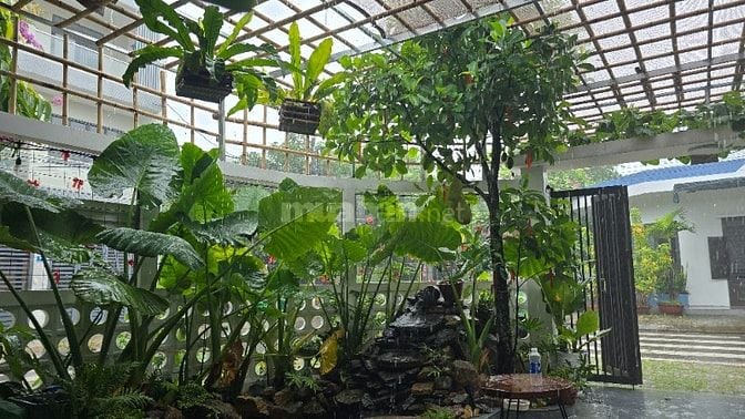 🔥 BÁN NHÀ LÔ GÓC ĐẸP – TĐC BÁ TÙNG 1, NGŨ HÀNH SƠN, ĐÀ NẴNG