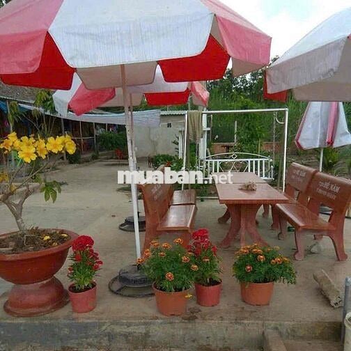 bán đất bình chánh 2000m2 kênh 5. sau trường tiểu học bình lợi