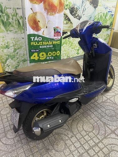 Nha di Honda Lead 125cc 2015 Xanh, BSTP