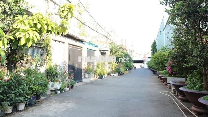 CHO THUÊ NHÀ NGUYÊN CĂN 1 TRỆT 1 LẦU ngay BV ĐA KHOA THỦ ĐỨC