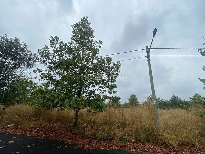 Công ty Đấu giá hợp danh Lam Sơn Sài Gòn THÔNG BÁO ĐẤU GIÁ TÀI SẢN