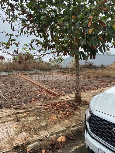 Công ty Đấu giá hợp danh Lam Sơn Sài Gòn THÔNG BÁO ĐẤU GIÁ TÀI SẢN