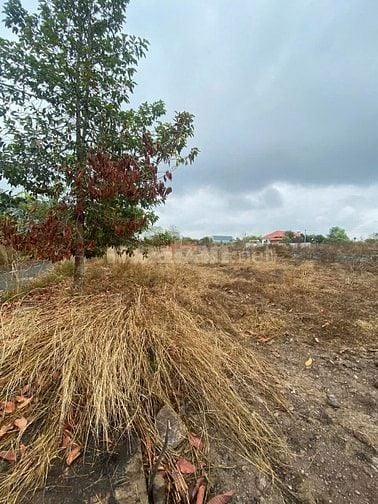 Công ty Đấu giá hợp danh Lam Sơn Sài Gòn THÔNG BÁO ĐẤU GIÁ TÀI SẢN