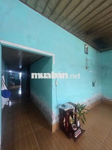 Nhà trệt 2PN hẻm đường Hồ Búng Xáng chỉ 4 triệu