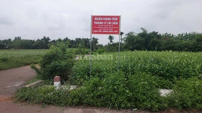Công ty Đấu giá hợp danh Lam Sơn Sài Gòn THÔNG BÁO ĐẤU GIÁ TÀI SẢN