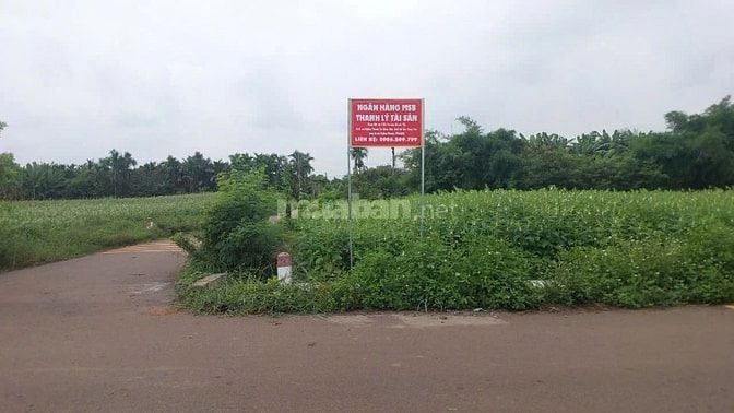 Công ty Đấu giá hợp danh Lam Sơn Sài Gòn THÔNG BÁO ĐẤU GIÁ TÀI SẢN