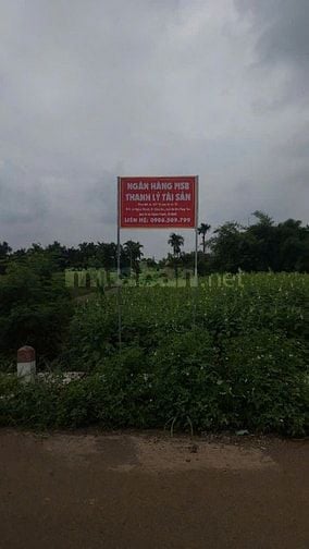 Công ty Đấu giá hợp danh Lam Sơn Sài Gòn THÔNG BÁO ĐẤU GIÁ TÀI SẢN