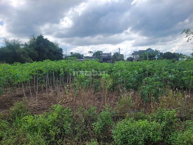 Công ty Đấu giá hợp danh Lam Sơn Sài Gòn THÔNG BÁO ĐẤU GIÁ TÀI SẢN