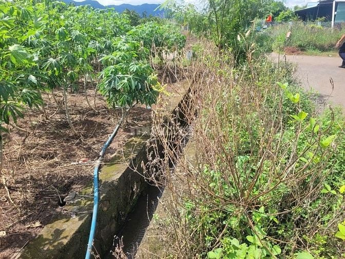 Công ty Đấu giá hợp danh Lam Sơn Sài Gòn THÔNG BÁO ĐẤU GIÁ TÀI SẢN